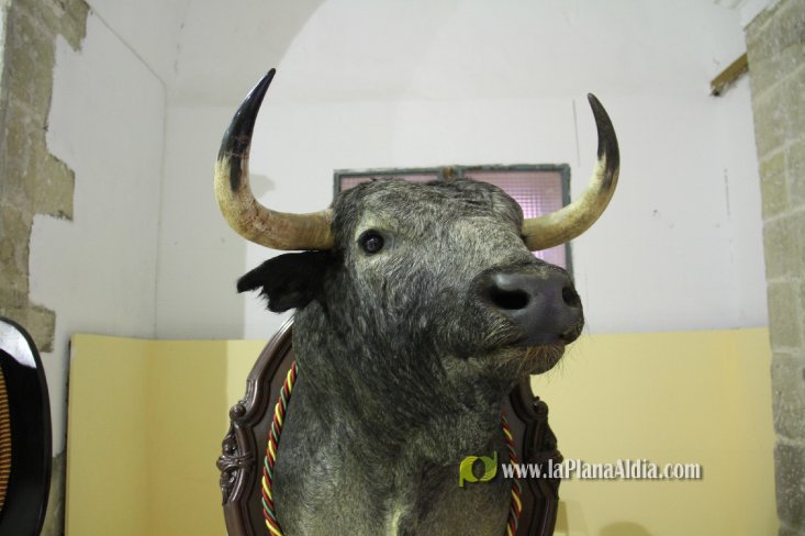 L'Alcora expone las cabezas de los toros Ratonero, Avión, Limonero y Naranjito