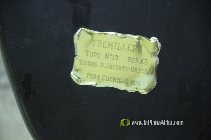 L'Alcora expone las cabezas de los toros Ratonero, Avión, Limonero y Naranjito