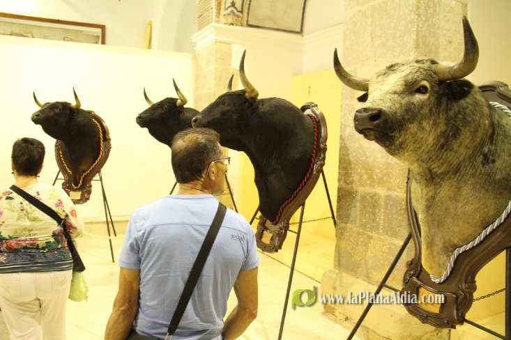 L'Alcora expone las cabezas de los toros Ratonero, Avión, Limonero y Naranjito