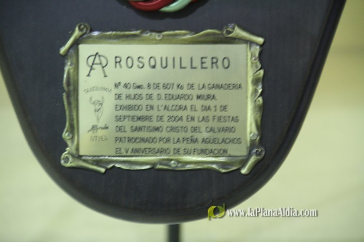L'Alcora expone las cabezas de los toros Ratonero, Avión, Limonero y Naranjito