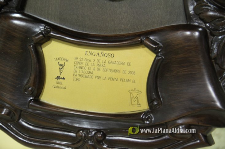 L'Alcora expone las cabezas de los toros Ratonero, Avión, Limonero y Naranjito