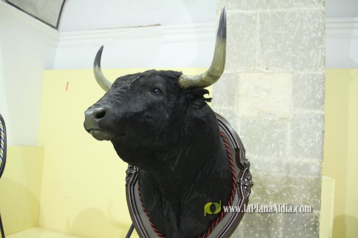L'Alcora expone las cabezas de los toros Ratonero, Avión, Limonero y Naranjito