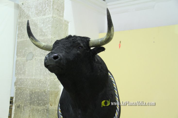 L'Alcora expone las cabezas de los toros Ratonero, Avión, Limonero y Naranjito
