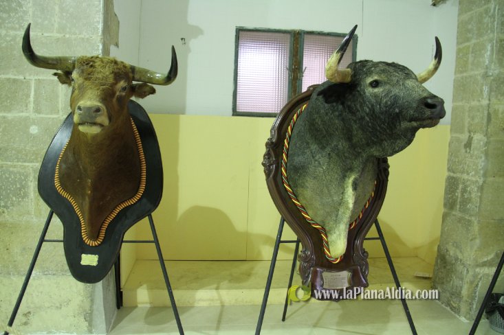 L'Alcora expone las cabezas de los toros Ratonero, Avión, Limonero y Naranjito