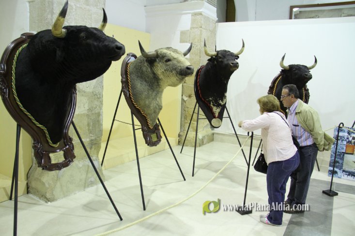L'Alcora expone las cabezas de los toros Ratonero, Avión, Limonero y Naranjito