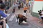 Vila-real vive el segundo encierro de toros cerriles y con sustos en el bou embolat