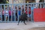 Los toros marcan la agenda en Vila-ral