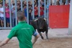 Los toros marcan la agenda en Vila-ral