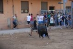 Los toros marcan la agenda en Vila-ral