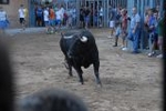 Los toros marcan la agenda en Vila-ral