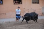 Los toros marcan la agenda en Vila-ral