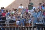 Los toros marcan la agenda en Vila-ral