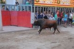 Los toros marcan la agenda en Vila-ral