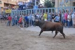 Los toros marcan la agenda en Vila-ral