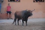 Los toros marcan la agenda en Vila-ral