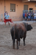 Los toros marcan la agenda en Vila-ral