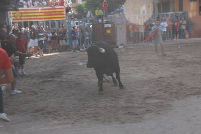 Fotografia /Galeria/2013/9/91842_48742/6_M1.jpg