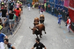 Burriana se estrena en los encierros de toros cerriles con un herido grave y once leves