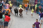 Burriana se estrena en los encierros de toros cerriles con un herido grave y once leves