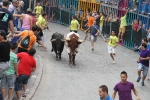 Burriana se estrena en los encierros de toros cerriles con un herido grave y once leves