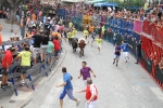 Burriana se estrena en los encierros de toros cerriles con un herido grave y once leves