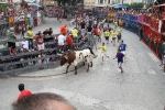 Burriana se estrena en los encierros de toros cerriles con un herido grave y once leves
