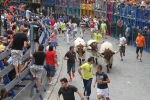 Burriana se estrena en los encierros de toros cerriles con un herido grave y once leves