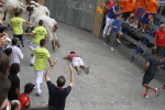 Burriana se estrena en los encierros de toros cerriles con un herido grave y once leves