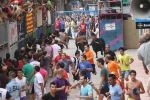 Burriana se estrena en los encierros de toros cerriles con un herido grave y once leves