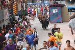 Burriana se estrena en los encierros de toros cerriles con un herido grave y once leves