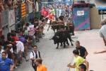 Burriana se estrena en los encierros de toros cerriles con un herido grave y once leves