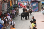 Burriana se estrena en los encierros de toros cerriles con un herido grave y once leves