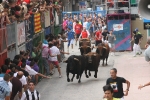 Burriana se estrena en los encierros de toros cerriles con un herido grave y once leves