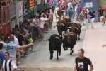 Burriana se estrena en los encierros de toros cerriles con un herido grave y once leves
