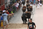 Burriana se estrena en los encierros de toros cerriles con un herido grave y once leves