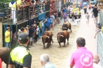 Burriana se estrena en los encierros de toros cerriles con un herido grave y once leves