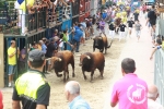 Burriana se estrena en los encierros de toros cerriles con un herido grave y once leves