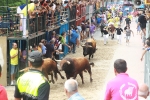 Burriana se estrena en los encierros de toros cerriles con un herido grave y once leves