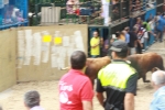 Burriana se estrena en los encierros de toros cerriles con un herido grave y once leves