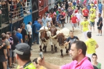 Burriana se estrena en los encierros de toros cerriles con un herido grave y once leves