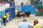 Burriana se estrena en los encierros de toros cerriles con un herido grave y once leves