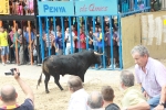 Burriana se estrena en los encierros de toros cerriles con un herido grave y once leves