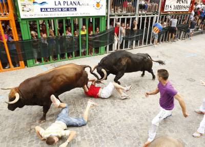 Burriana se estrena en los encierros de toros cerriles con un herido grave y once leves