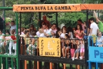 Burriana se estrena en los encierros de toros cerriles con un herido grave y once leves