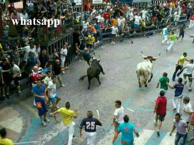 Fotografia /Galeria/2013/9/91944_48802/2_M1.jpg