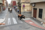 Burriana se estrena en los encierros de toros cerriles con un herido grave y once leves