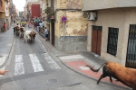 Burriana se estrena en los encierros de toros cerriles con un herido grave y once leves