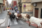 Burriana se estrena en los encierros de toros cerriles con un herido grave y once leves
