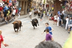 Burriana se estrena en los encierros de toros cerriles con un herido grave y once leves