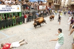Burriana se estrena en los encierros de toros cerriles con un herido grave y once leves